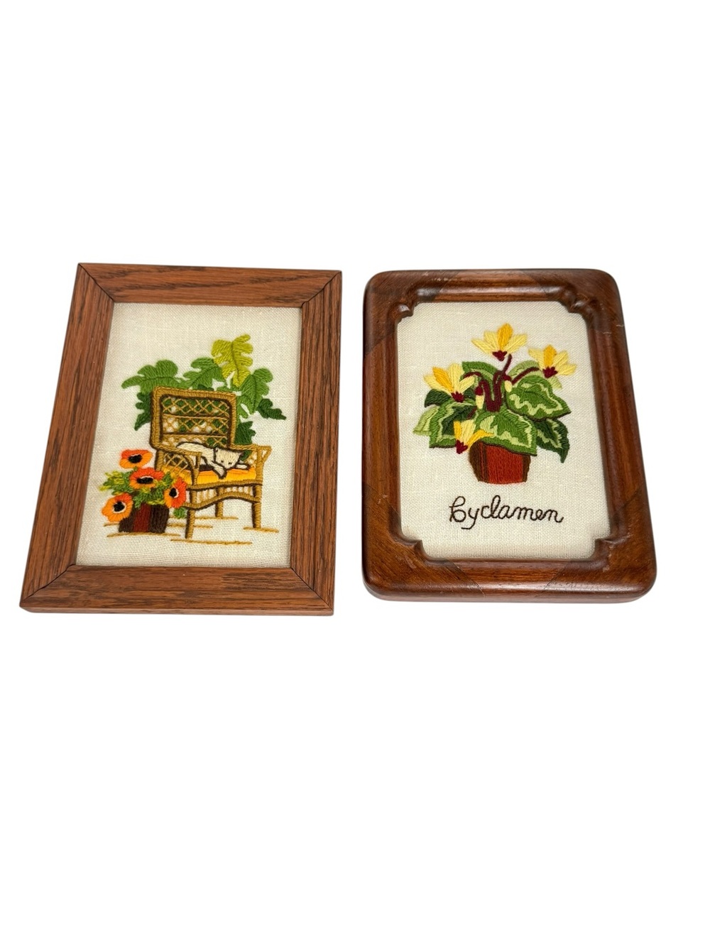 Vintage 70s crewel embroidery framed Pictures Cyclamen and monstera plants cat